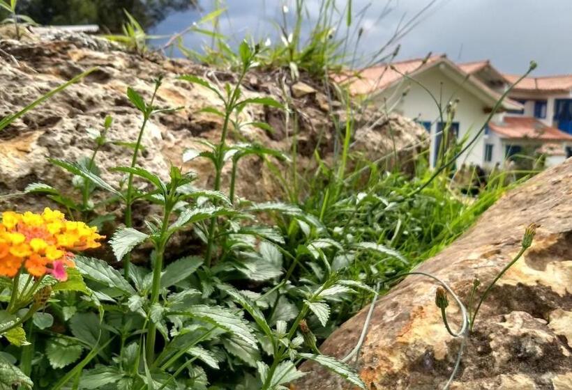 Отель & Cabañas Cashiluna