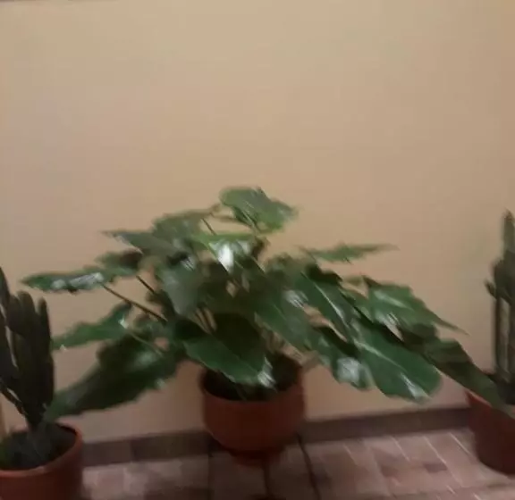 ペンション El Marquez