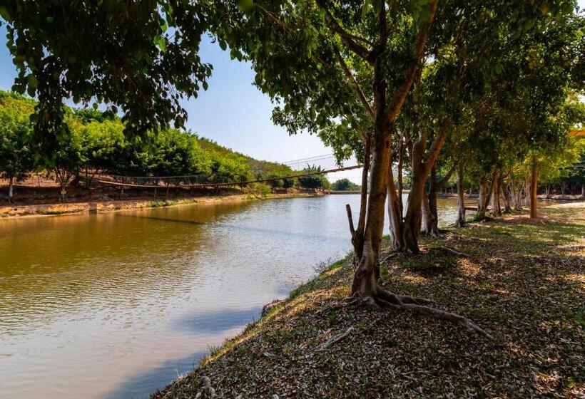 ホテル Fazenda Ararita