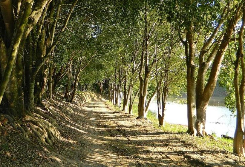 ホテル Fazenda Ararita