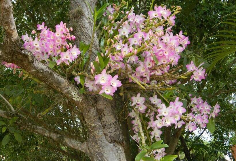 ホテル Fazenda Ararita