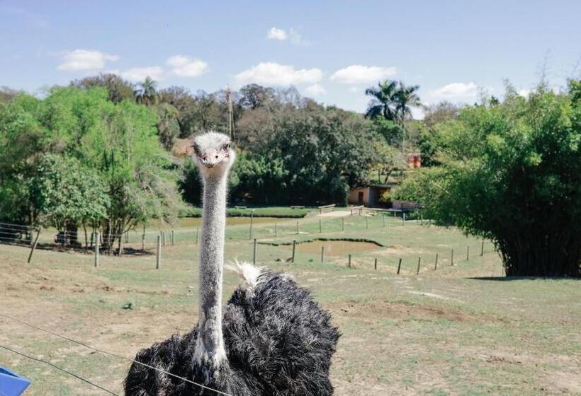 ホテル Fazenda Ararita