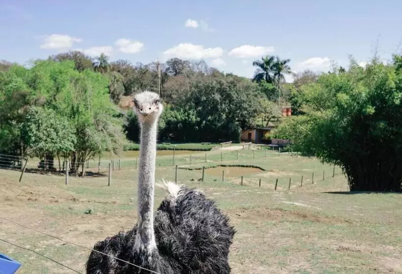 Hotelli Fazenda Ararita