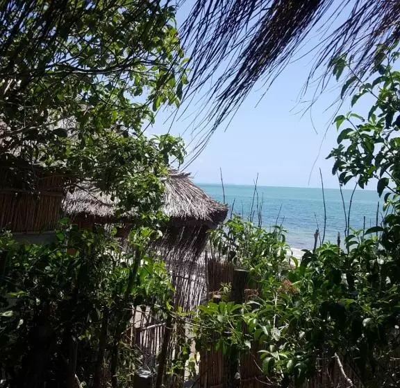 リゾートホテル Baraka Lda