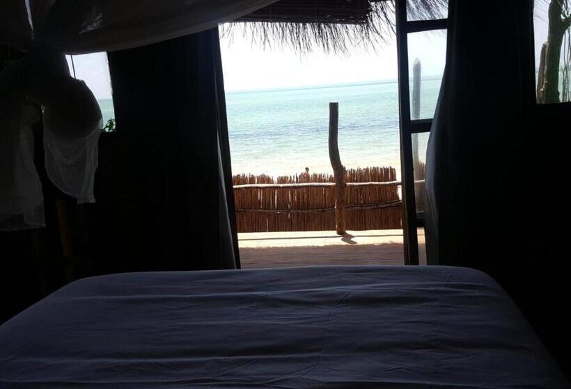 منتجع Baraka Lda