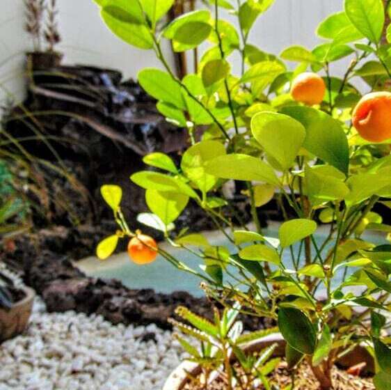 Aohom Santuario Hotel & Spa