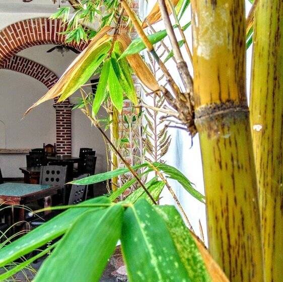 Aohom Santuario Hotel & Spa