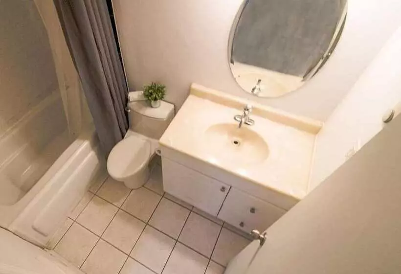 هاستل The Clarence Park