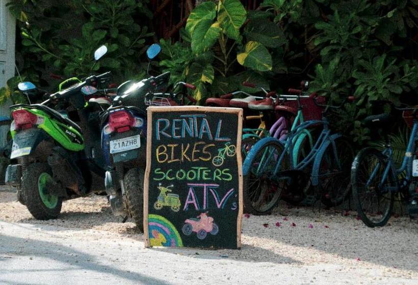 ペンション Aldea Tzunun