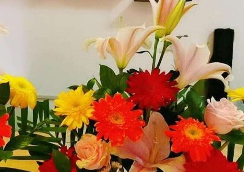 Hotel Junluxe Meizhou Island Iecc