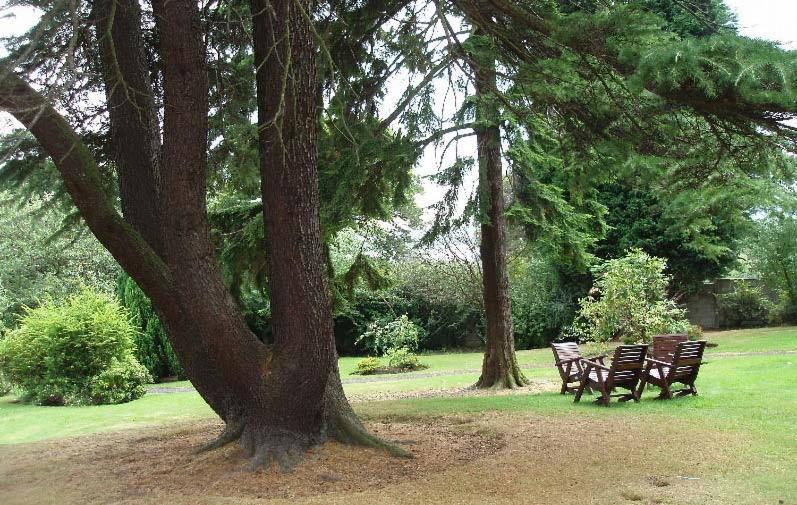 ホテル Dunmar House