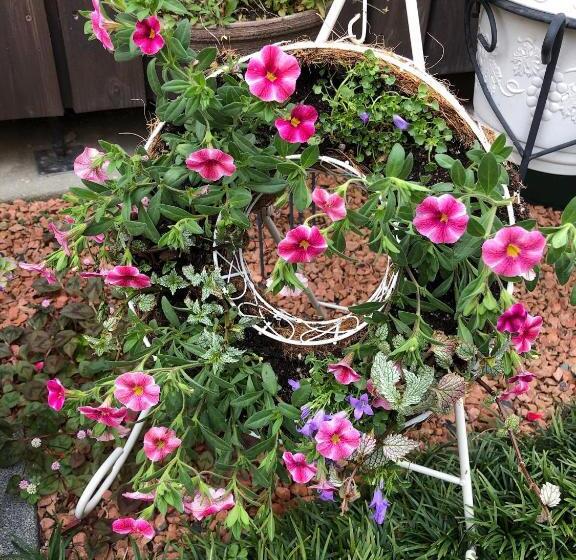 پانسیون Guest House Rokumano