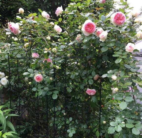 پانسیون Guest House Rokumano