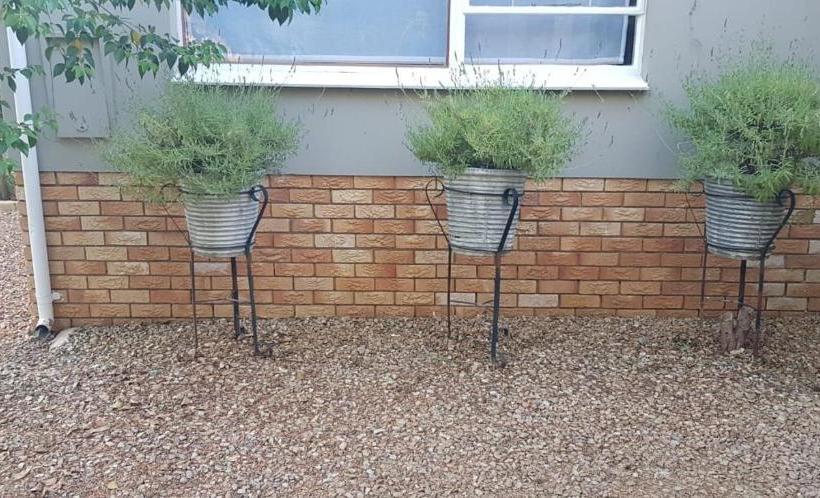 膳宿费 Mulberry Place