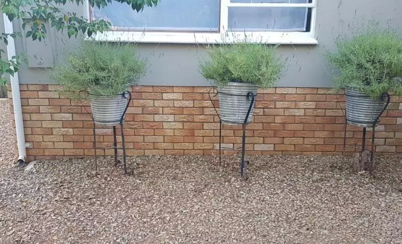 Majatalo Mulberry Place