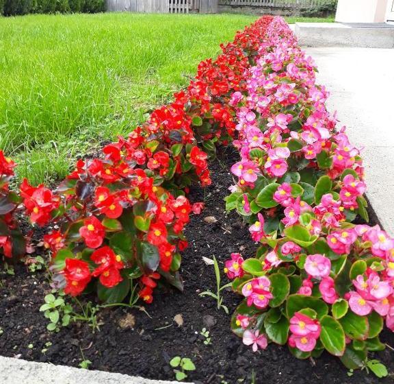 پانسیون Green House