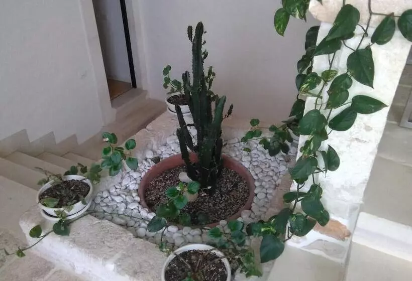 ベッドアンドブレックファースト Arcobello Suite Rooms