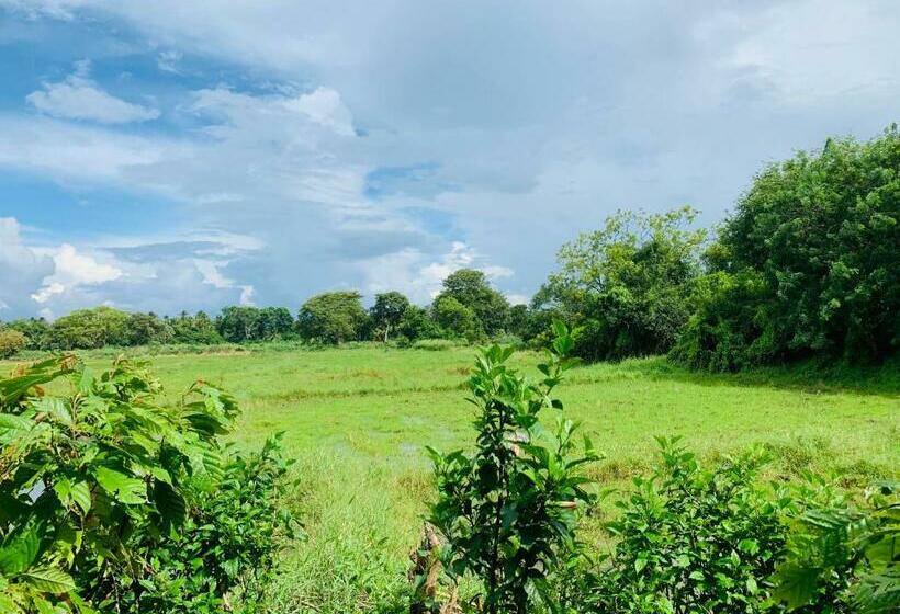 هاستل Coco Garden Holiday Homes