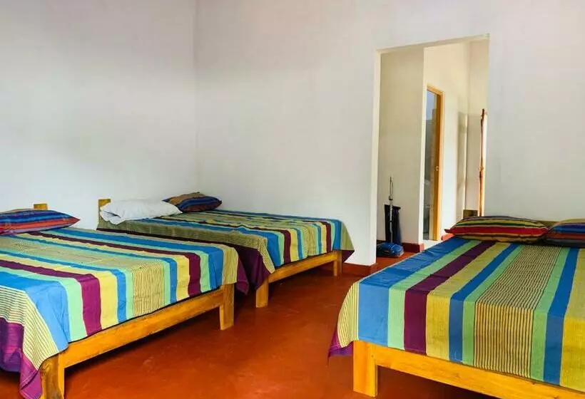 هاستل Coco Garden Holiday Homes