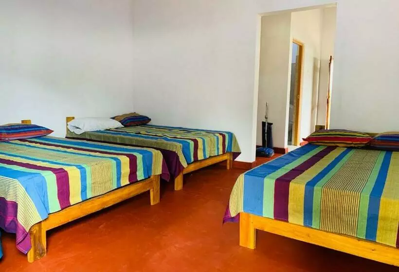 هاستل Coco Garden Holiday Homes