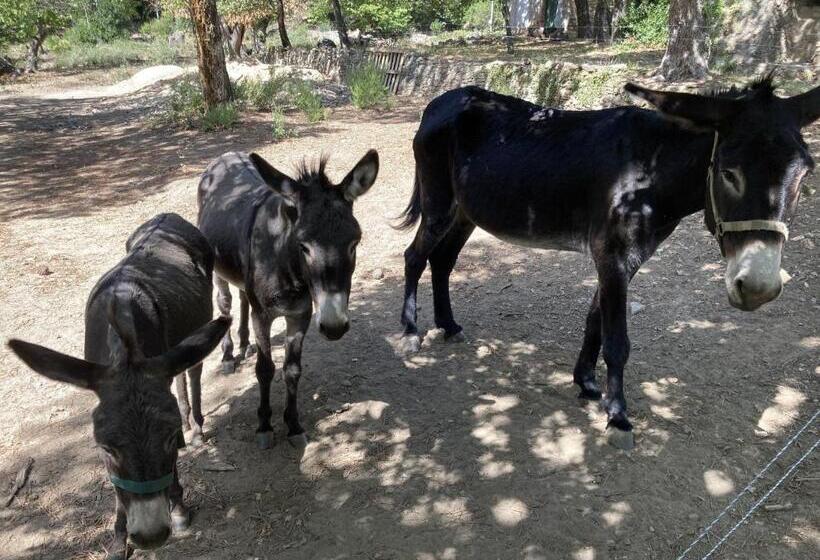 פנסיון Villa Fontane Provence