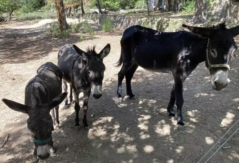Majatalo Villa Fontane Provence