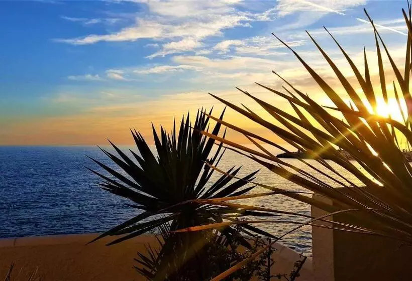 Aamiaismajoitus (B&B) Ashram Villa Sunshine