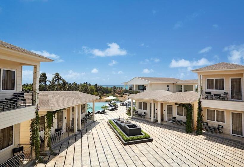 Kurort The Acacia Morjim