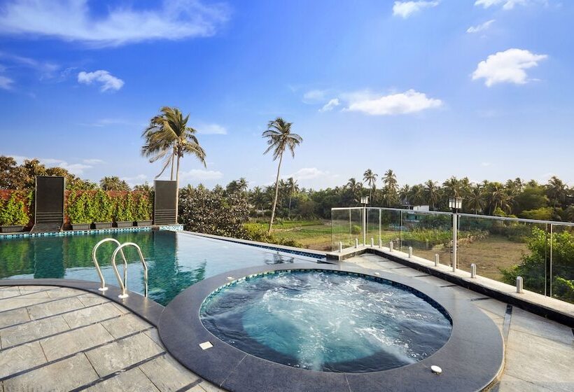 Kurort The Acacia Morjim