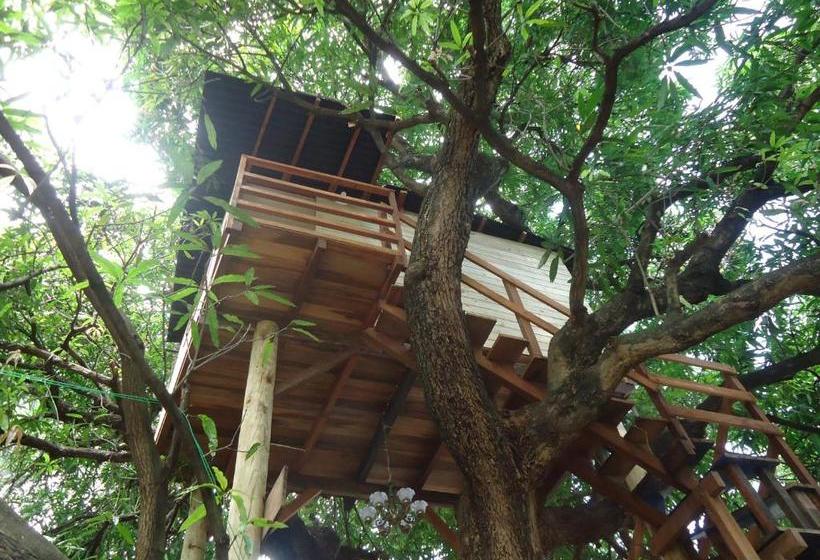 민박 Casa Na árvore