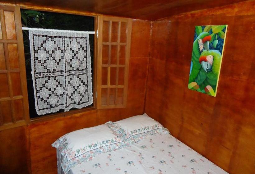 민박 Casa Na árvore