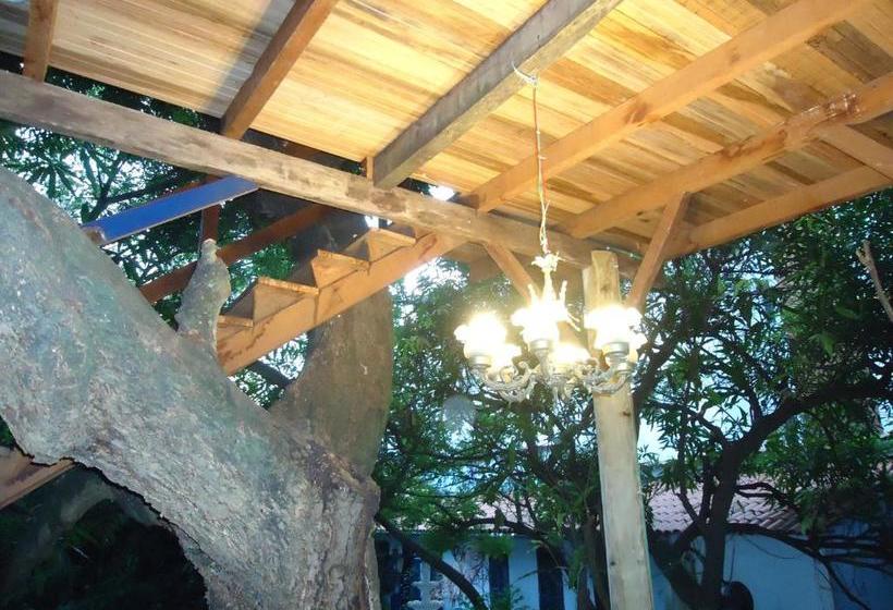 민박 Casa Na árvore