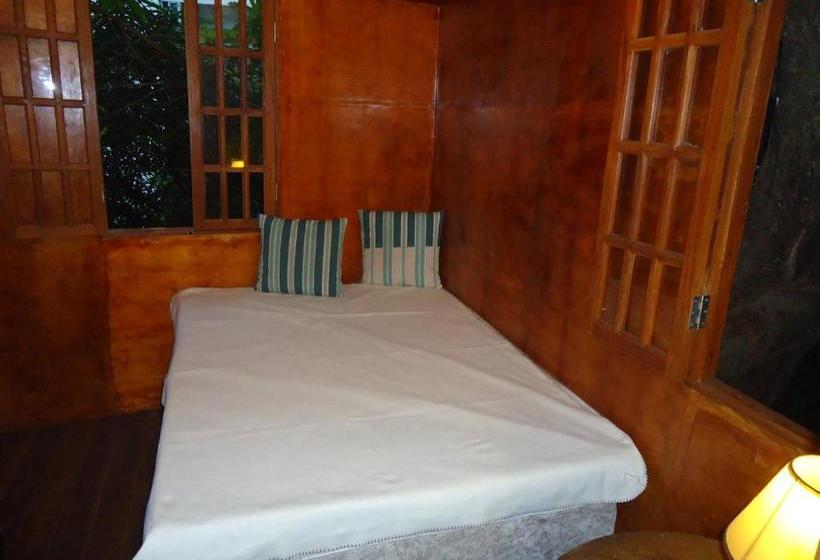 민박 Casa Na árvore