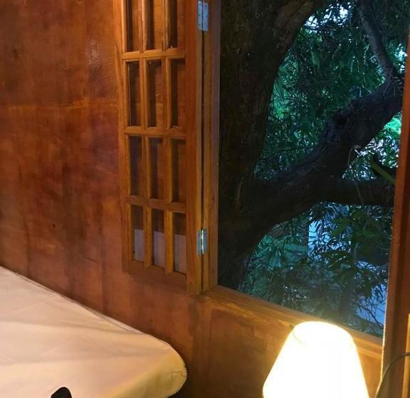 민박 Casa Na árvore