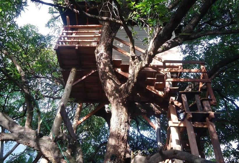 민박 Casa Na árvore