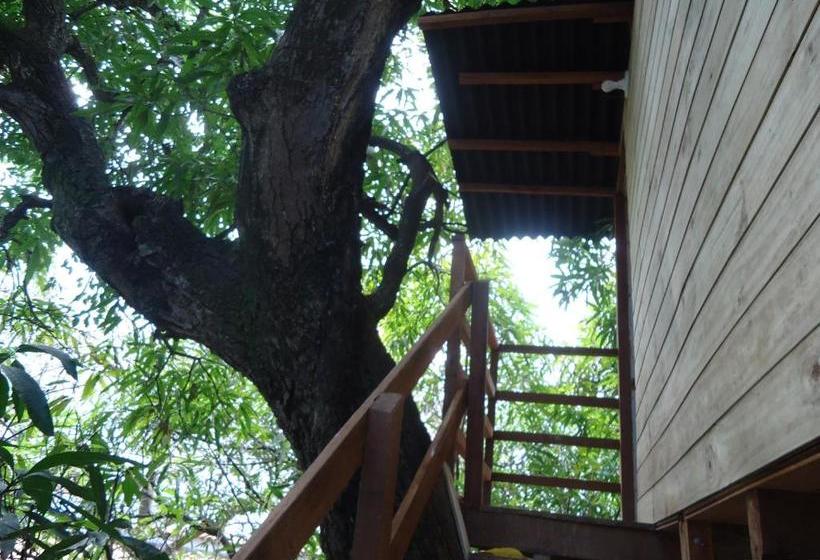 민박 Casa Na árvore