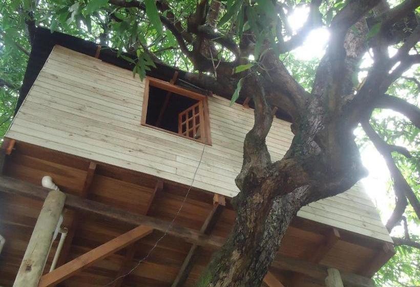 민박 Casa Na árvore