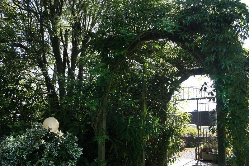 膳宿费 Townhouses