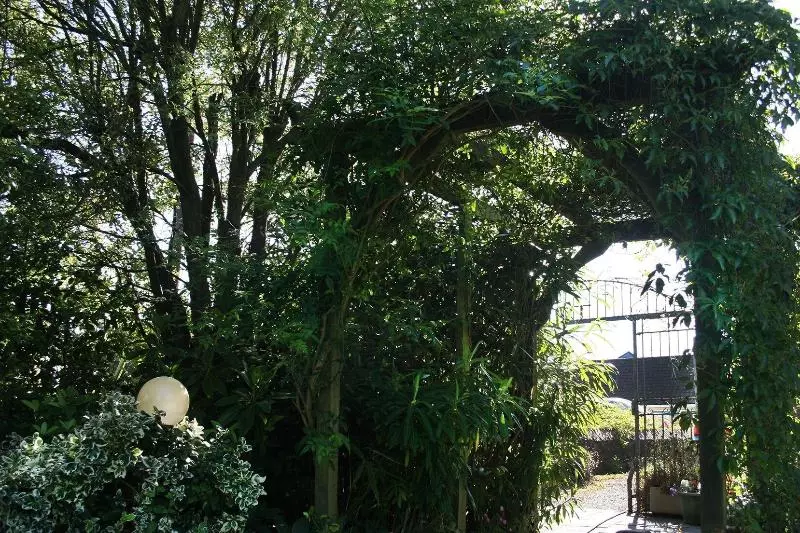 ペンション Townhouses