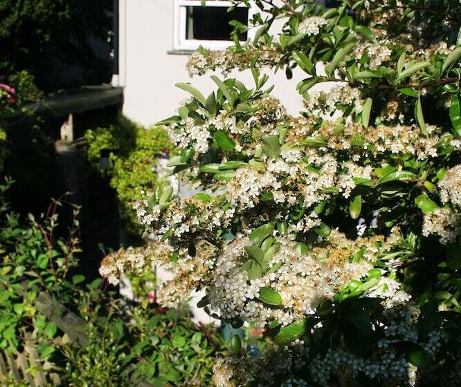 膳宿费 Townhouses