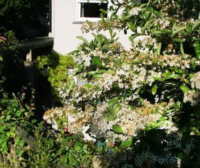 ペンション Townhouses