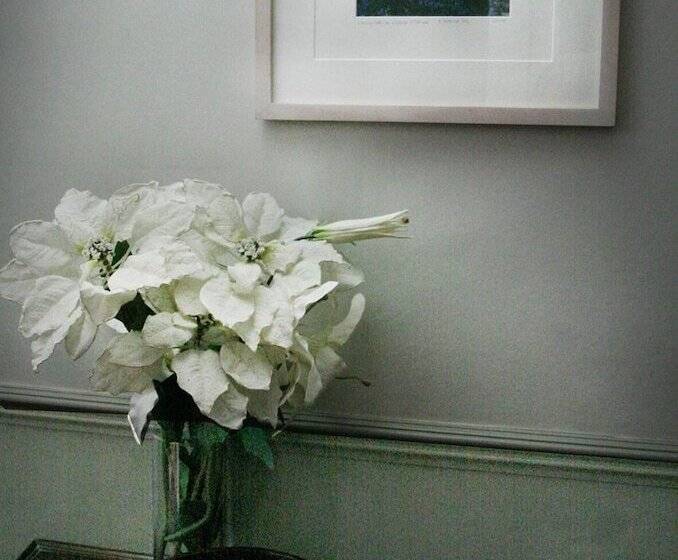 膳宿费 Townhouses