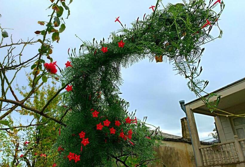 مبيت وإفطار Old City