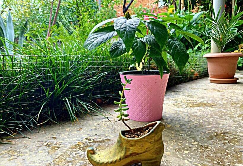 مبيت وإفطار Old City