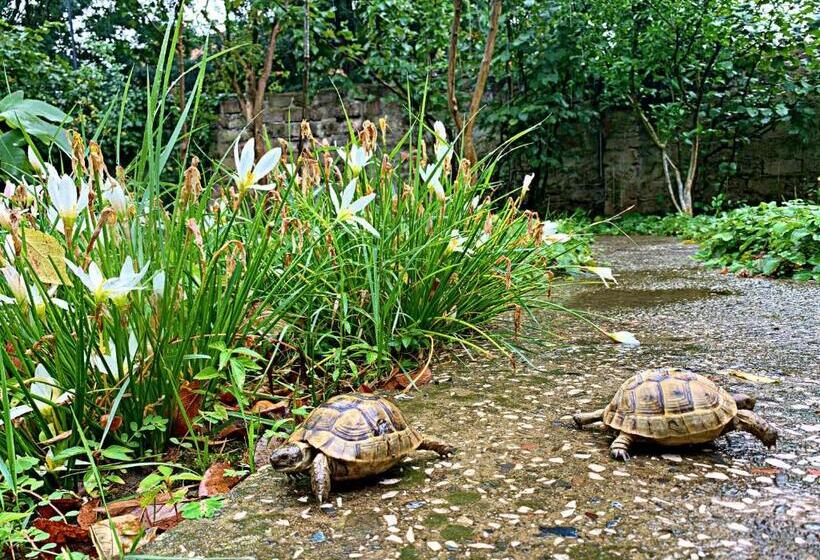 مبيت وإفطار Old City