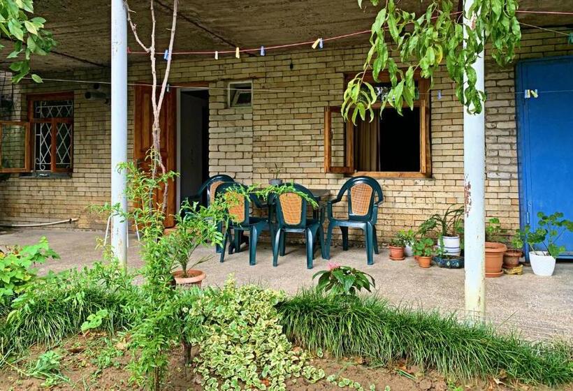 مبيت وإفطار Old City