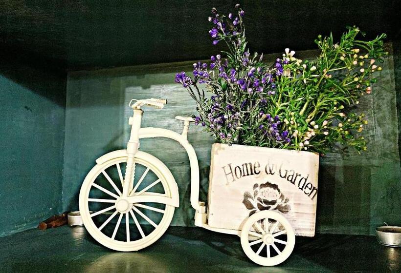 مبيت وإفطار Old City