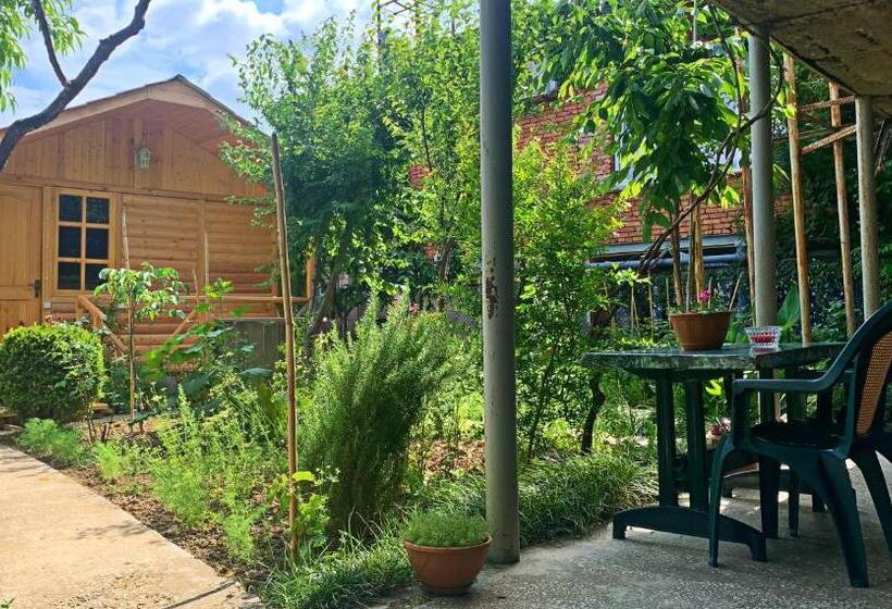 مبيت وإفطار Old City