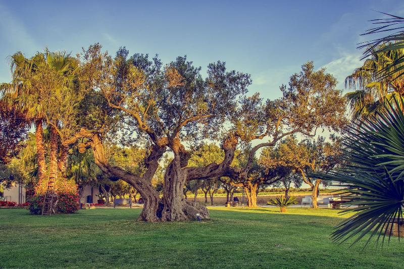 Nocleg ze śniadaniem De Gregorio Suites