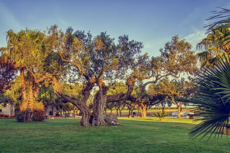 Bed and Breakfast De Gregorio Suites